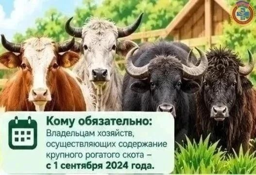 Владельцам хозяйств, осуществляющих содержание КРС