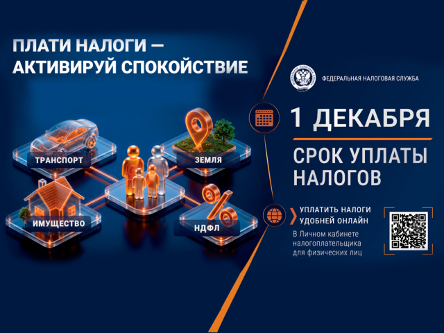 Срок уплаты налогов - 1 декабря